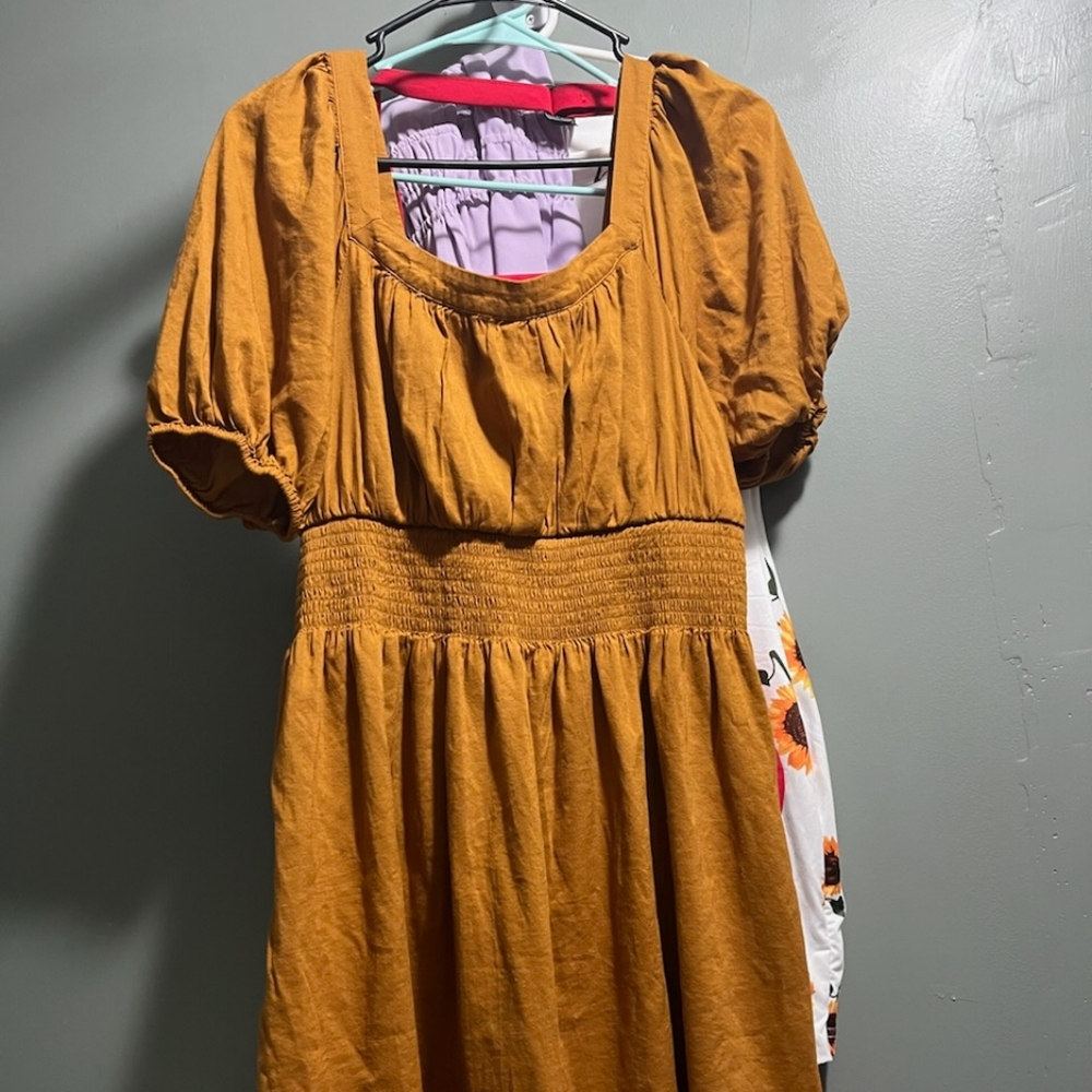 Fall stylish dress